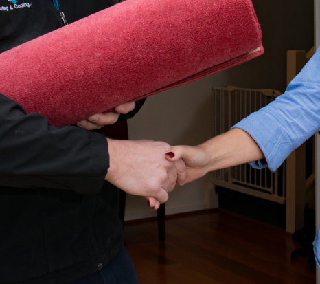 Professional Plumbers