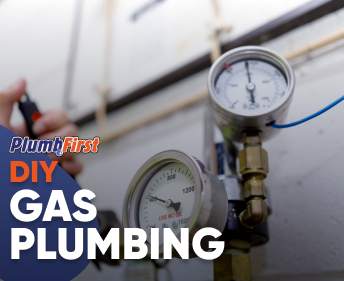 Professional Plumbers