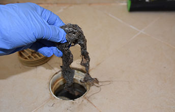 Professional Plumbers